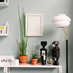 Hover Image