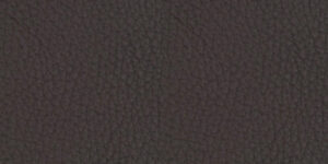 Piel - Patrol Marrón +4.880,23 €