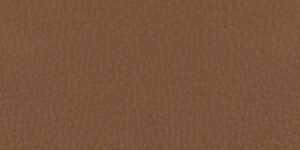 Piel - Patrol Coñac +2.463,26 €