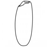 Omanb56 931,70 €